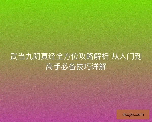 武当九阴真经全方位攻略解析 从入门到高手必备技巧详解